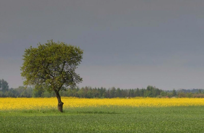 {Służby ostrzegają przed przestępcami.}