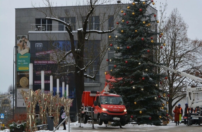 Na Starym Mieście i przed ratuszem pojawiły się już choinki.